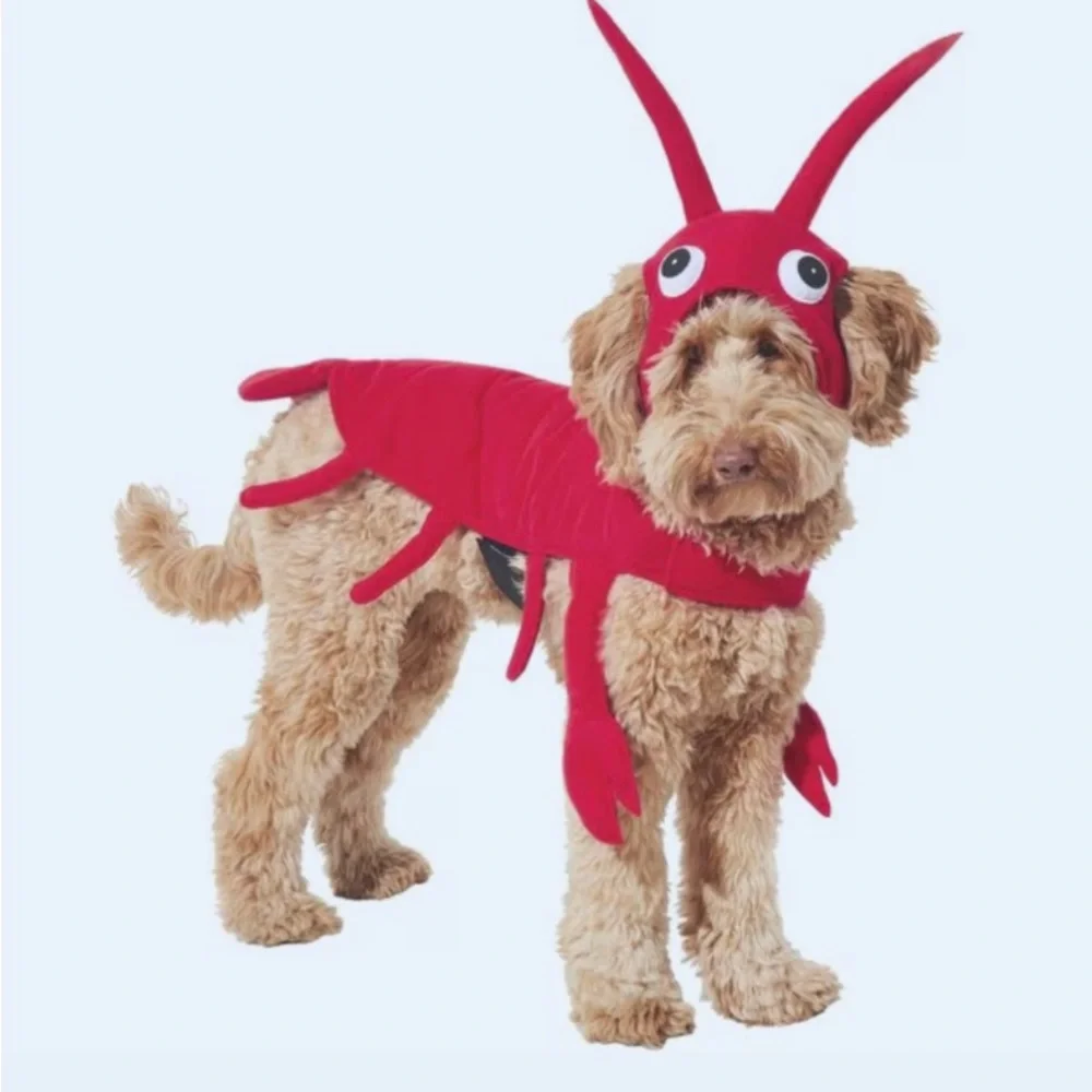 Red Lobster Dog Costume, Size Medium